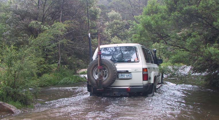 01-Zebra crosses the Thomson River