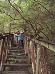 07-Helen clambers across the dilapidated bridge to view the Coopers Creek mine