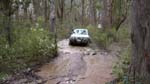 24-Grub enjoys the mud on Toombon Track