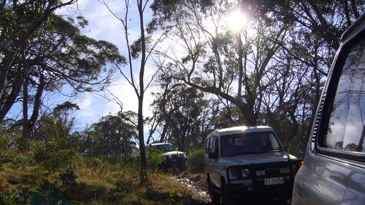 06-Arriving at camp up at 1,500M on Tingaringy