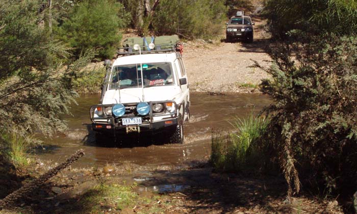 16-Roadrunner watches Big John ambling across the Deddick River