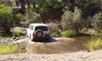02-Hoppy wets his feet crossing the Deddick River