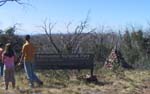04-John, Laurway & Andrew (Big John) check out the Victorian-NSW border at Tingaringy