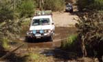 16-Roadrunner watches Big John ambling across the Deddick River