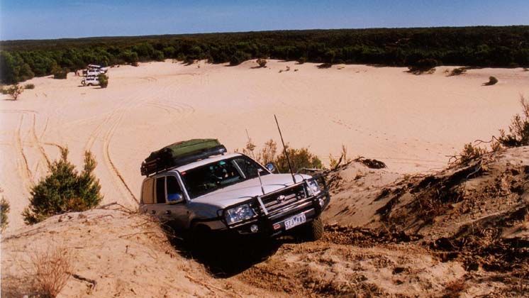 25-Moneyeater takes on the dunes at White Springs