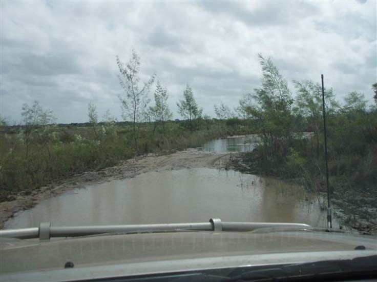 03 Swampland on Cape York
