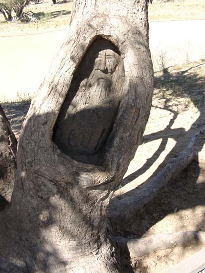 08 Dig Tree Carving