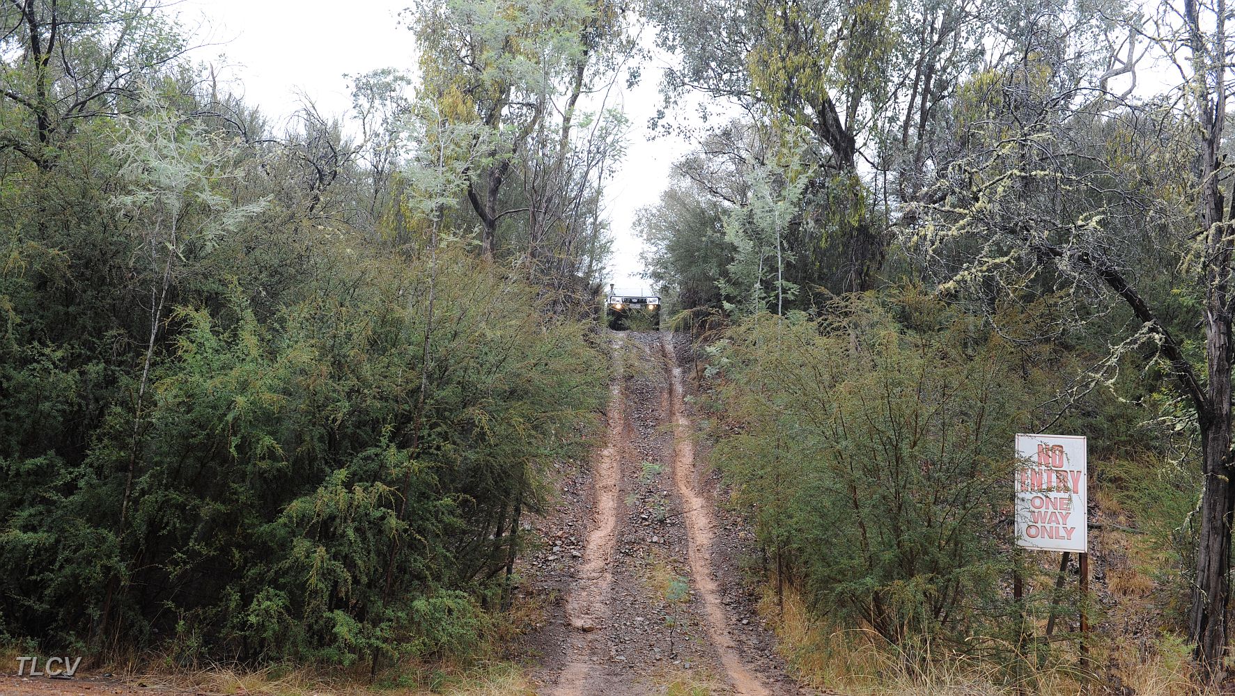 DSC_3420.JPG