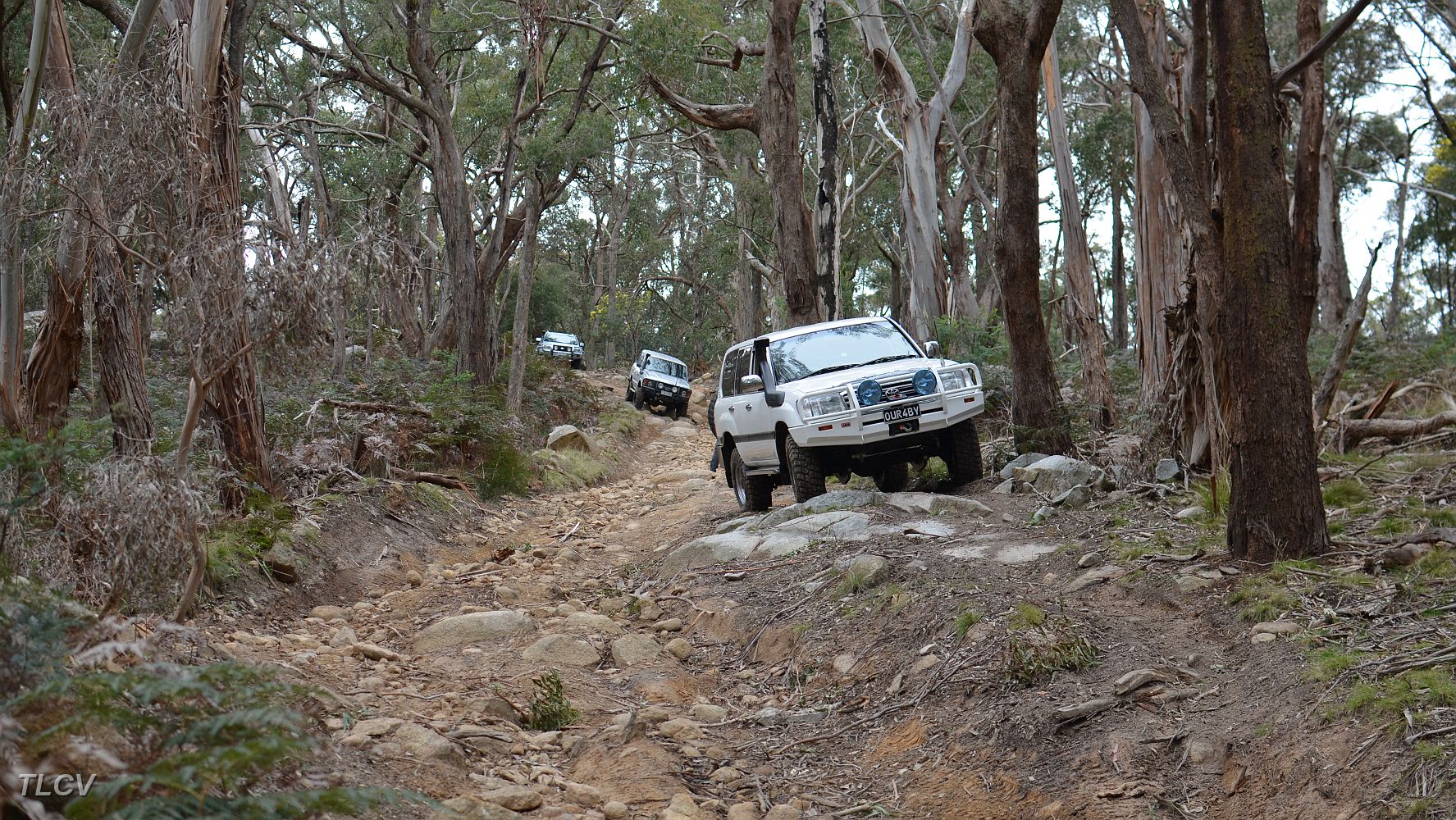 DSC_1226.JPG