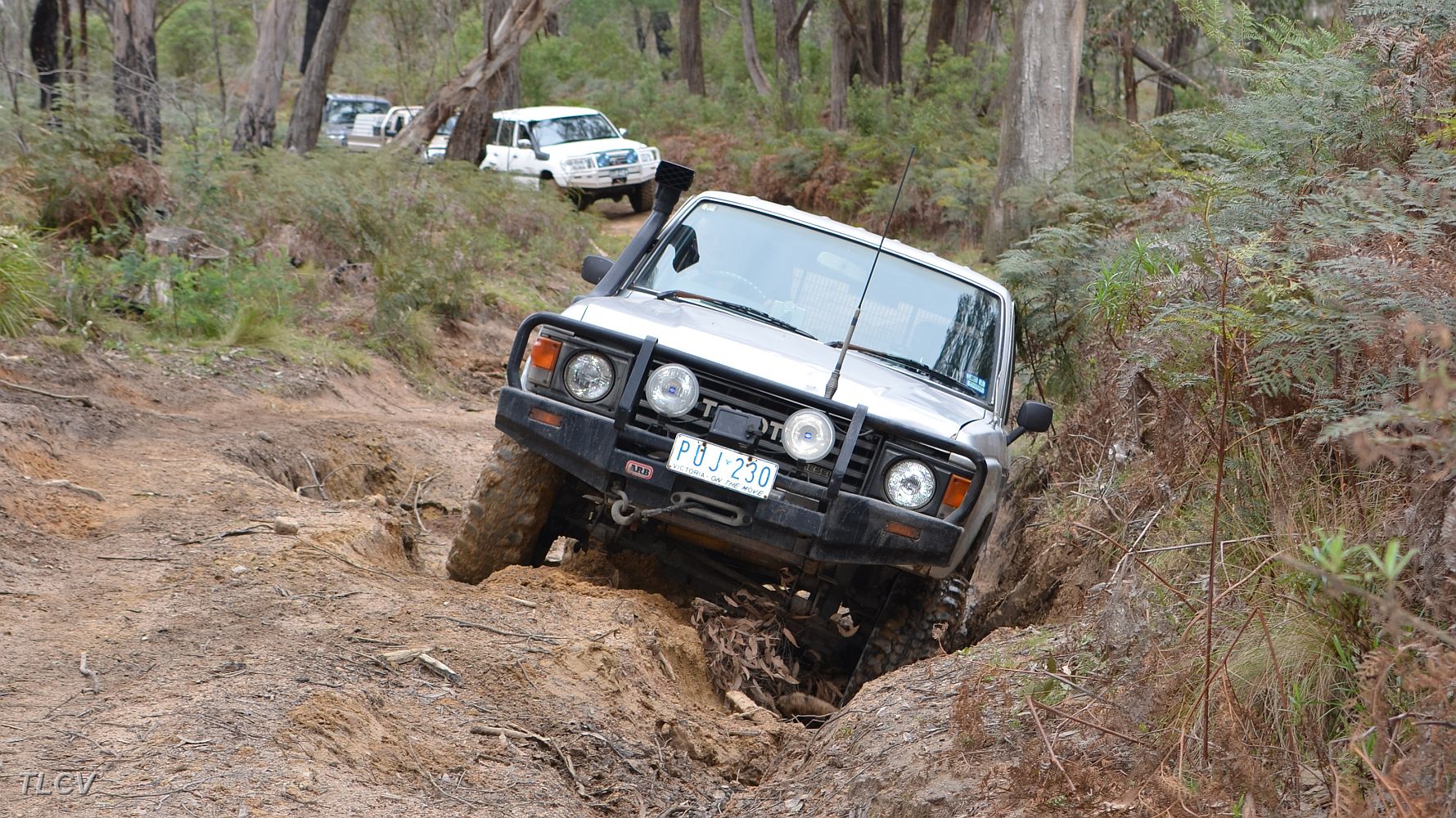 DSC_1229.JPG