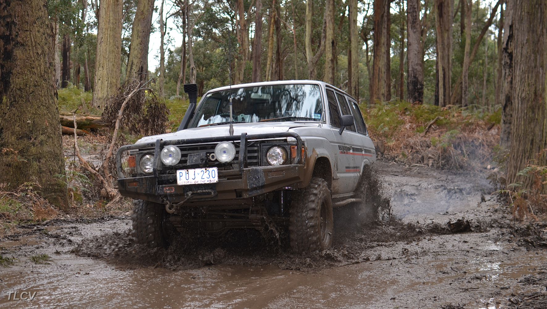 DSC_1354.JPG