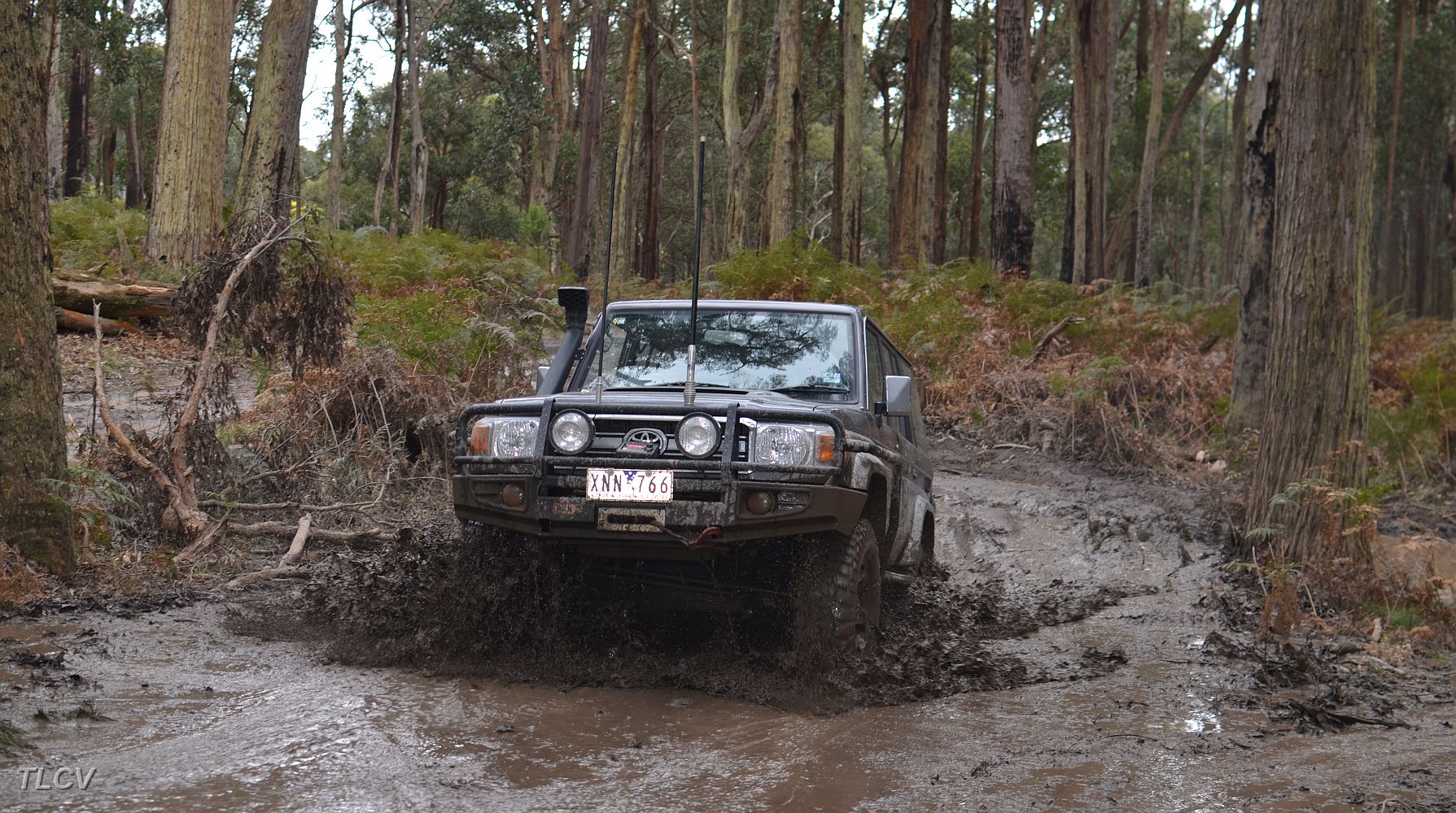 DSC_1367.JPG