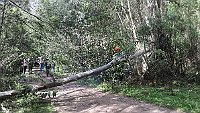 Dsc 5316