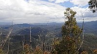 Dsc 5431