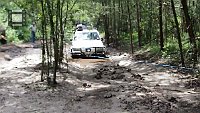 Zebra-gets-Winched