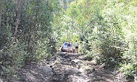 Working out the best way up a muddy Telegraph Track