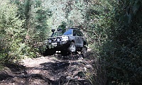 Climbing Telegraph Track