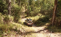 Descending Paddy Track