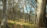4WD to Mt Pinnibar