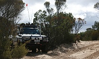 Zebratakes a break at Henley&#39;s lookout