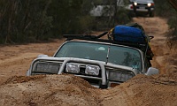 Zilla climbs out of a deep bog hole