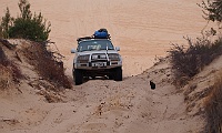 Zilla climbs Ross Springs dune
