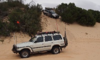 Zebra gives Chris a snatch at Ross Springs