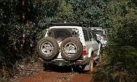IMG 0588
