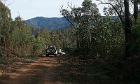 IMG 0628