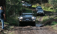 IMG 0661