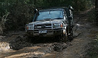 IMG 0772