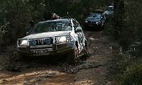 IMG 0775