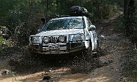 IMG 0781