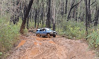 DSC 3607