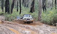 DSC 7119