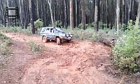 Video4