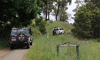 Zebra leads the Haunted Stream convoy