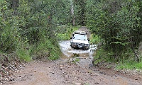 Gerry Gee takes a splash in the Haunted Stream