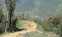 Heading down Stock Route Track towards the Dargo River