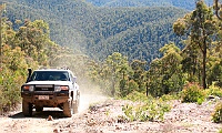Rhino climbs Matheson Track from the Dargo River