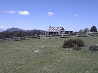 IMAG0662