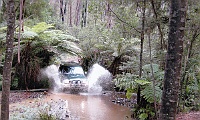 2008  Kalatha Creek - Aeroplane Track (Photo by Lachlan Ranken)