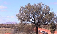 2011  Olgas Bound (Photo by Liz Mills)