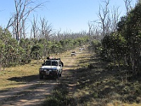 IMG 0729