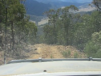 IMG 0808