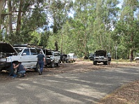 IMG 0817