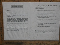 IMG 8281
