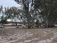DSC 8193