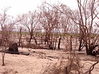 IMG 20140418 112807