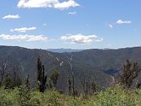 DSCN5117